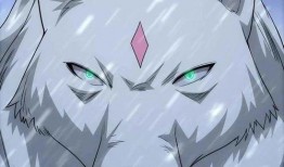 白狼漫画,探寻狼族传奇，揭秘神秘力量